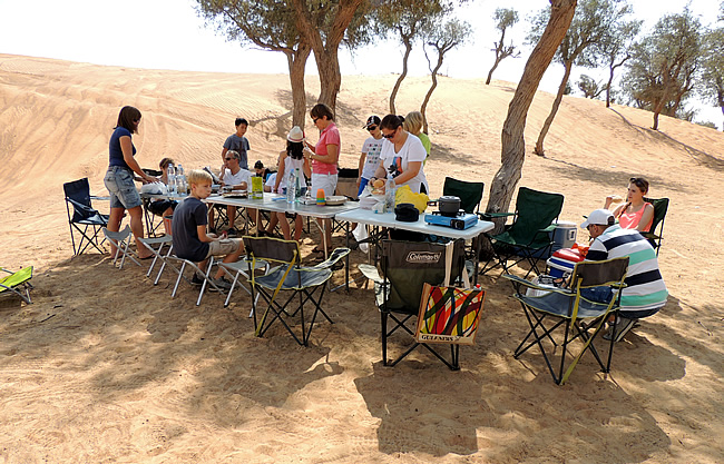 Desert picnic