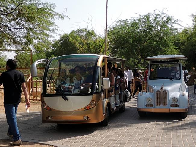 Rijke golf carts in Al Ain Zoo
