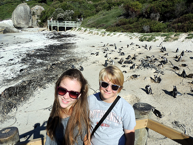 Boulders Beach