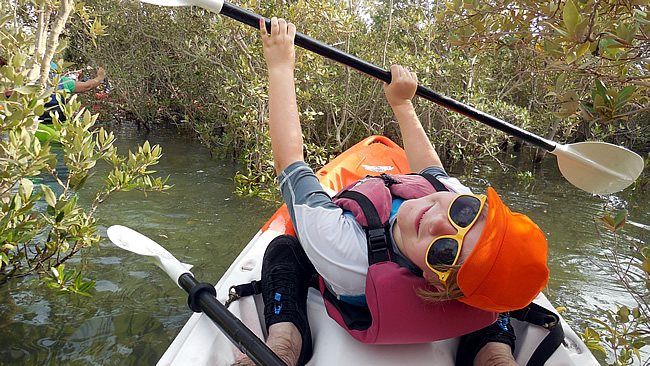 Roos in Eastern Mangroves