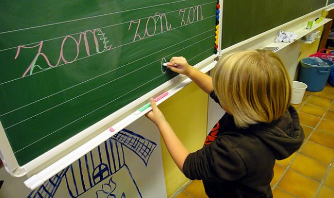 Roos aan schrijfbord