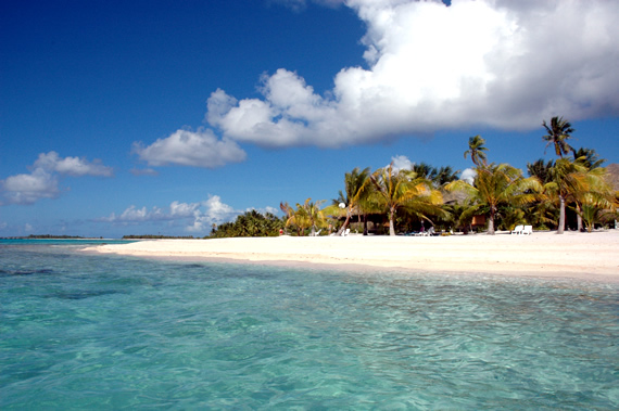 Relais Royal Tikehau 2008