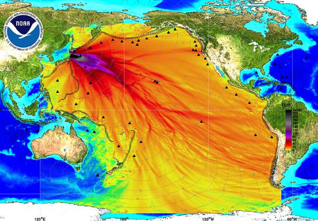 Tohoku earthquake waves