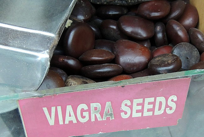 Viagra seeds